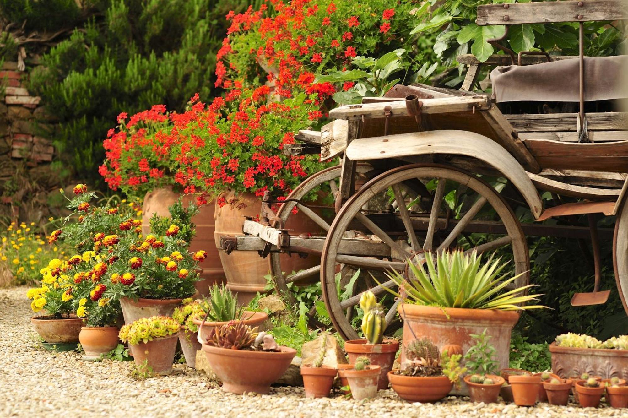 Ventena Vecchia Antico Frantoio มอนเตวาร์คี ภายนอก รูปภาพ