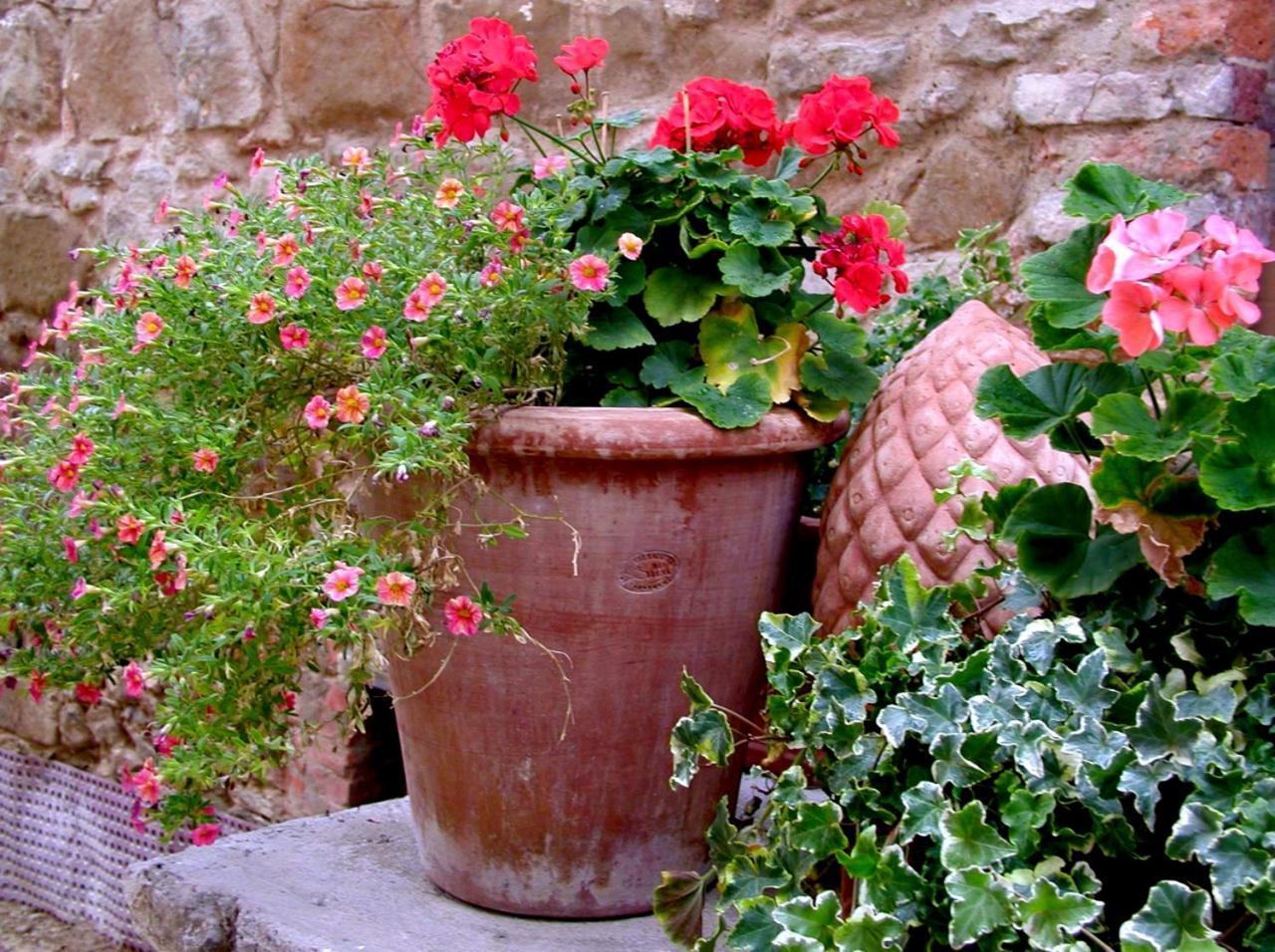 Ventena Vecchia Antico Frantoio มอนเตวาร์คี ภายนอก รูปภาพ