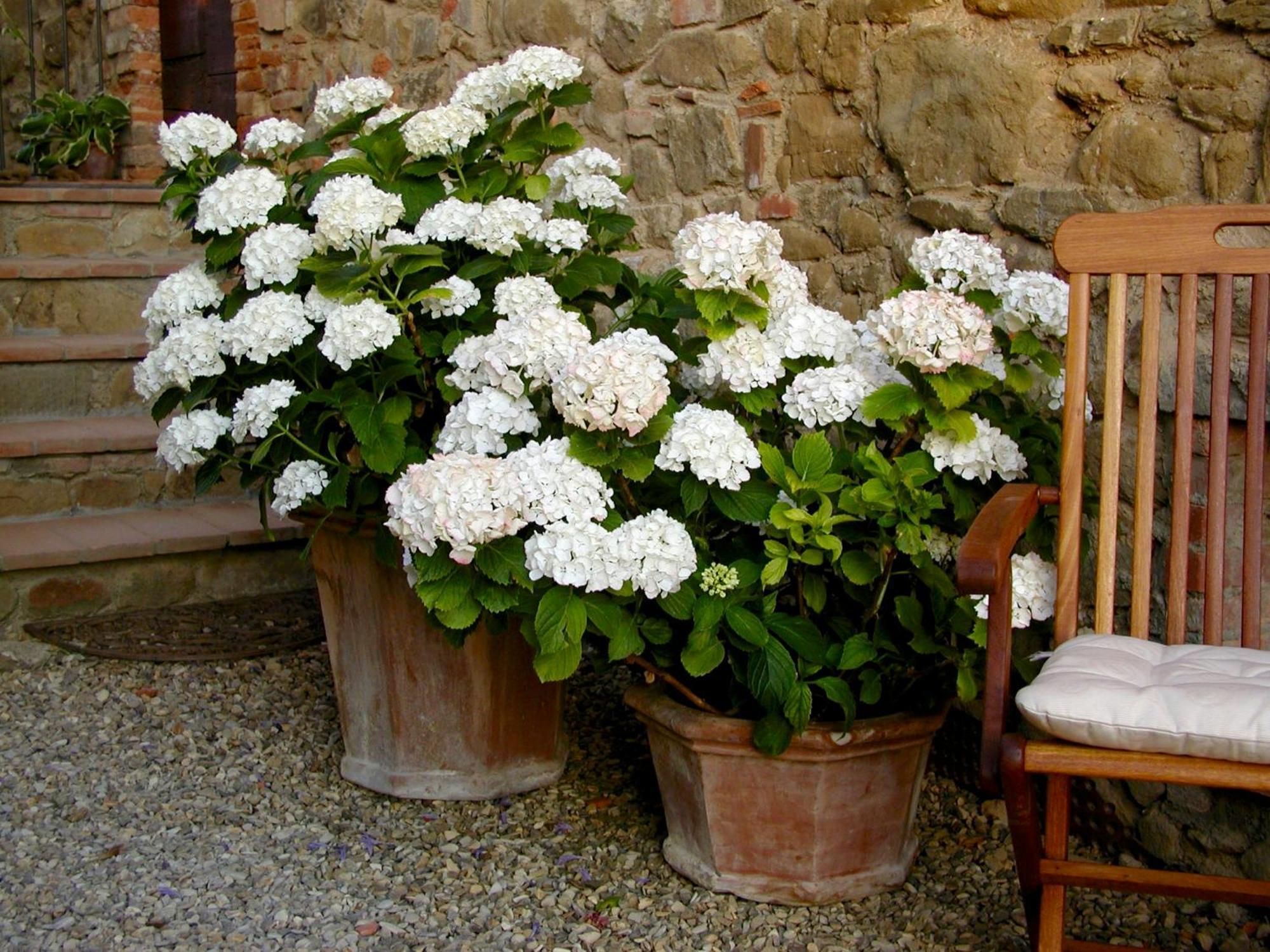 Ventena Vecchia Antico Frantoio มอนเตวาร์คี ภายนอก รูปภาพ