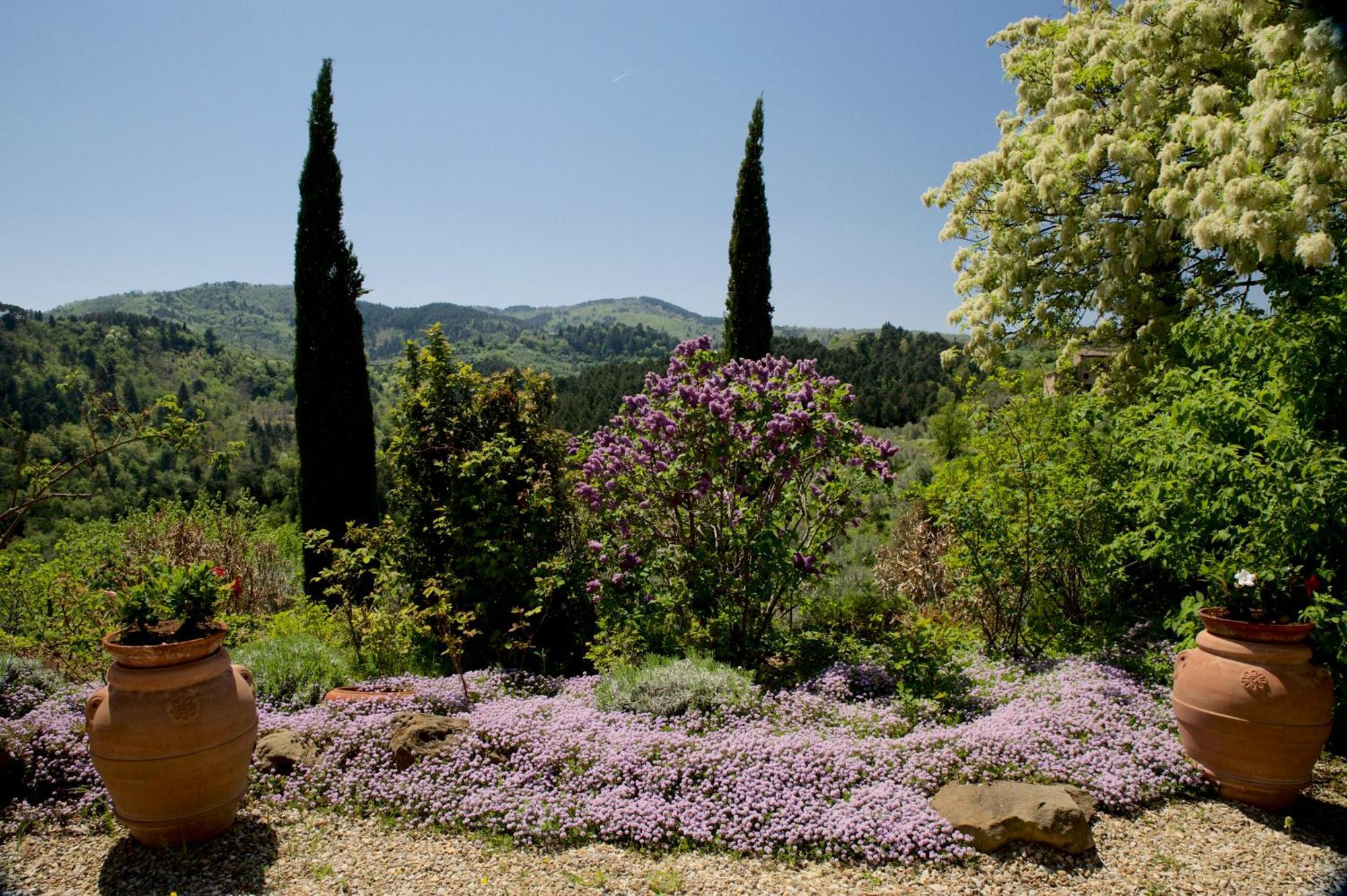 Ventena Vecchia Antico Frantoio มอนเตวาร์คี ภายนอก รูปภาพ